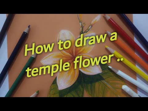 How to draw a temple flower - lesson 13 (art room ) - YouTube