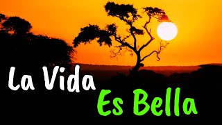 Ama La Vida y La Vida Te Amará ¦ Gratitud, Frases, Reflexiones, Motivación