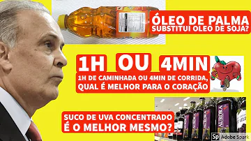 Para que serve a manteiga de palma?
