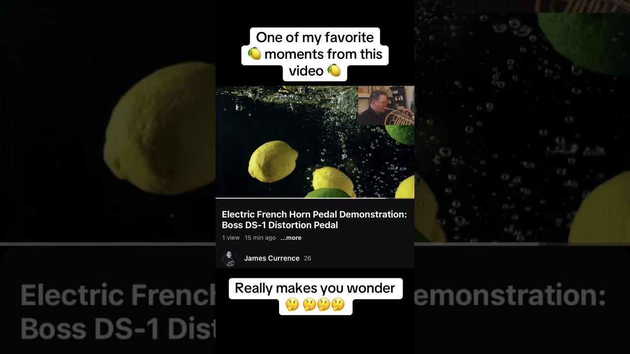 Watch French Horn + Lemons on YouTube Watch French Horn + Lemons on YouTube