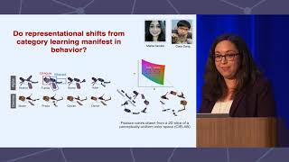 CNS 2023: Anna Schapiro, PhD, &quot;Learning Representations of Specifics and Generalities Over Time&quot;