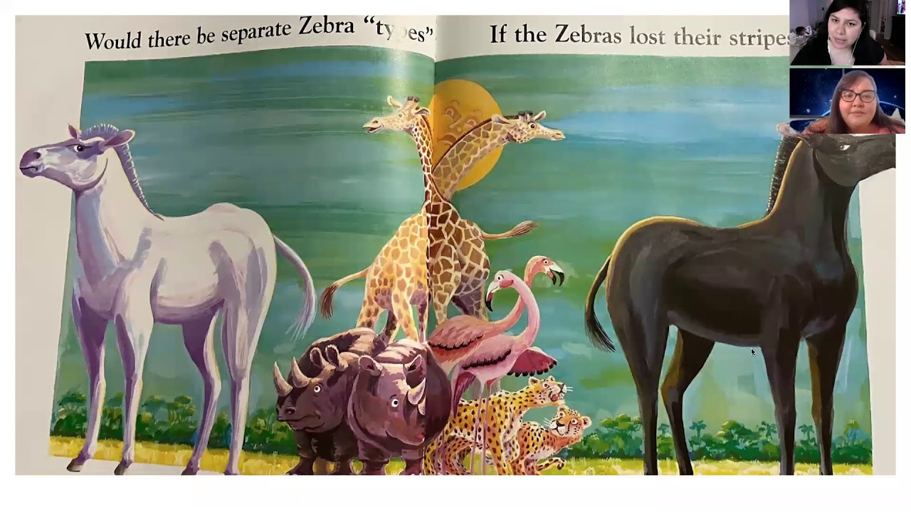What if the Zebras lost their stripes YouTube