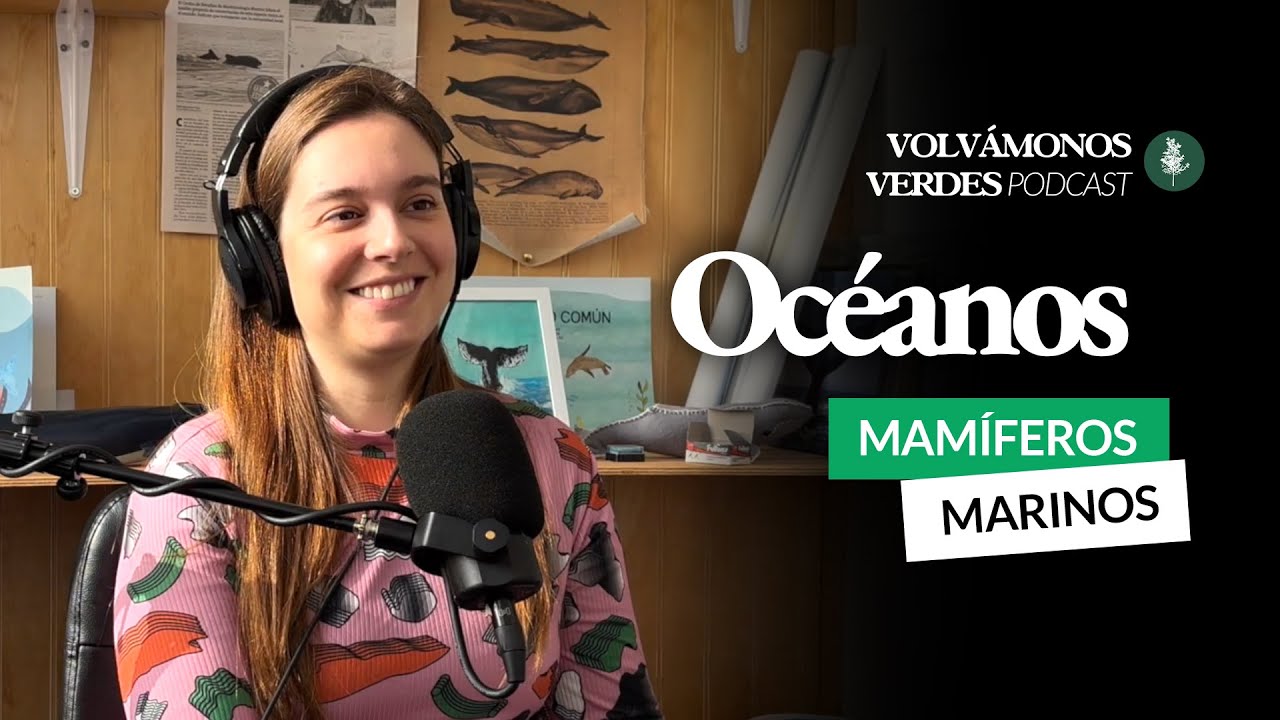 De océanos y ballenas | Camila Calderón | 107