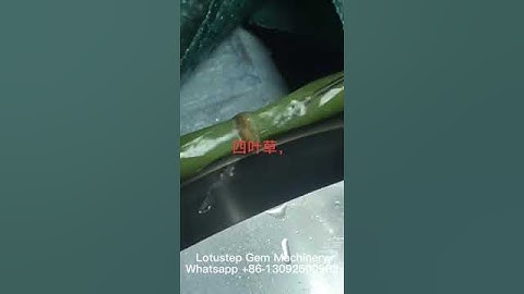 Automatic four leaf clover shaping machine #fourleafclover #fourleafclovershapingmachine