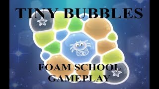 Celebrity Tiny Bubbles - Foam School - Gameplay and Solutions Net Worth