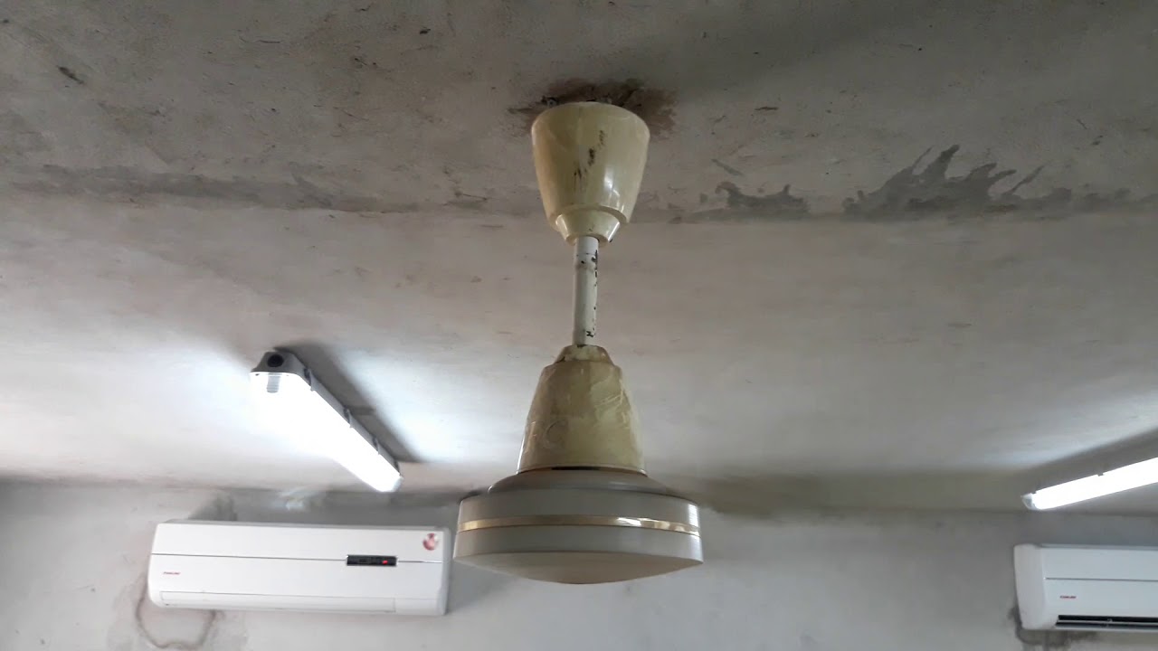 CEC Deluxe 56" ceiling fan with curved blades (fan z3) YouTube