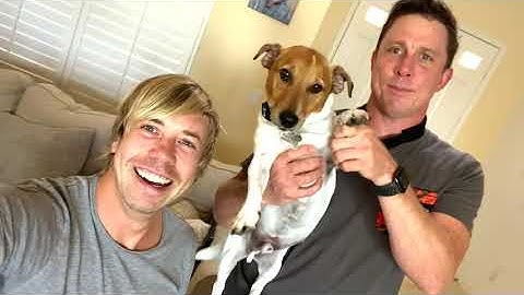 2020 According to GoldFish (Interview)