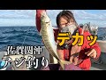 ［朝まず目限定］佐賀関沖の絶好ポイントで大型アジGET！