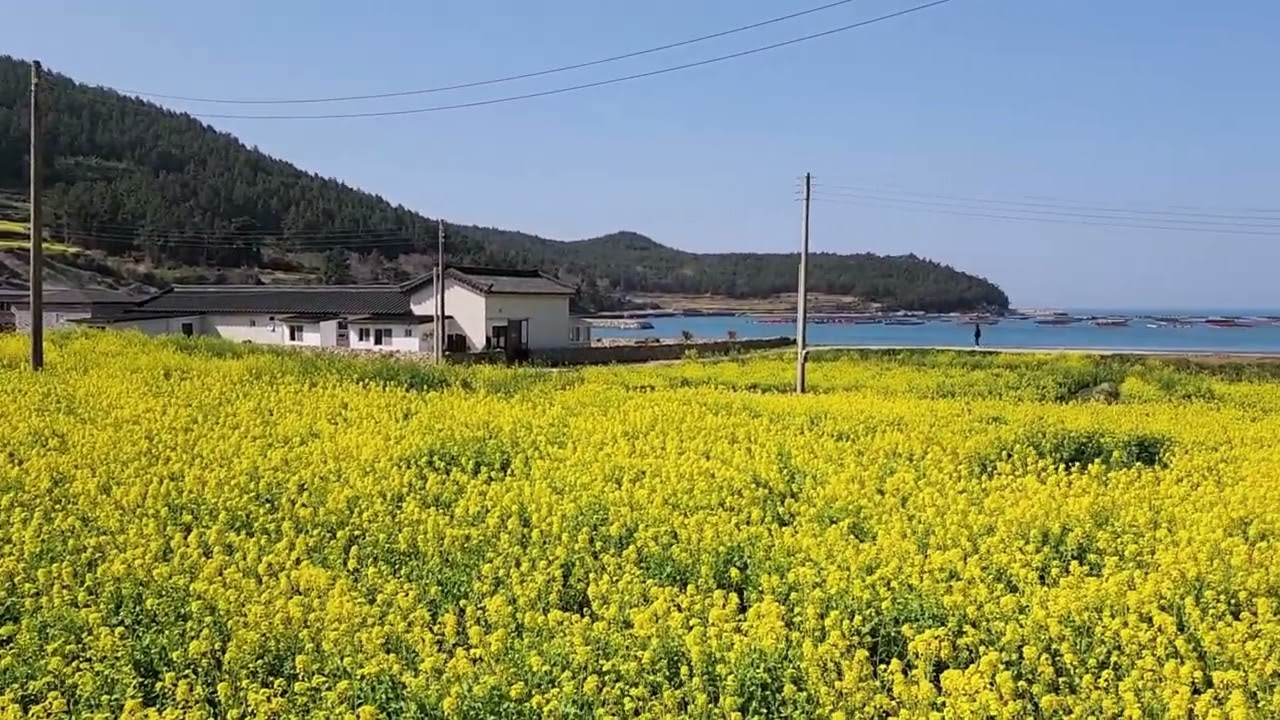 청산도   복사본