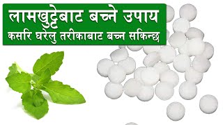 लामखुट्टेको टोकाई बाट कसरि घरेलु तरीकाबाट बच्न सकिन्छ : How to prevent Mosquito Naturally