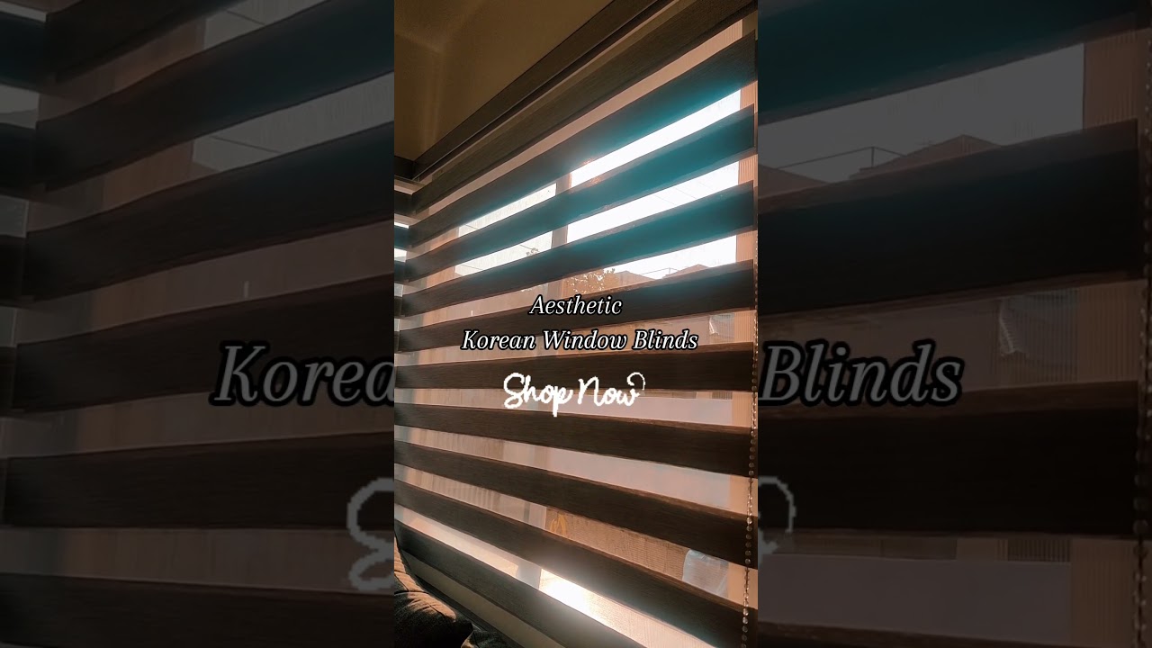 Aesthetic Modern Korean Window Blinds. 