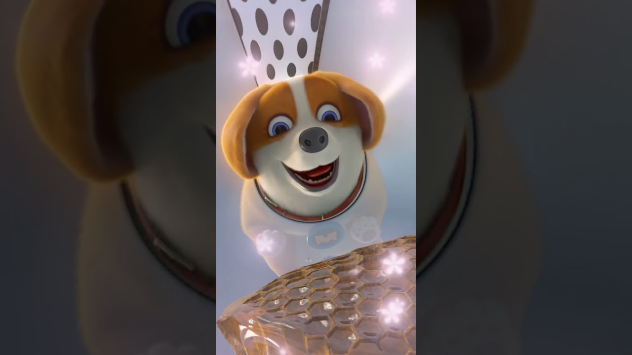 😍new funny || 🤣 moco and yummy video || 🥰 