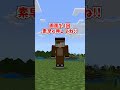 実はぶっ壊れているアニメコマンド3選 #マイクラ #shorts