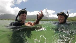 Chef Ronnie, Kimi Werner kimi_swimmy diving at He'eia for Kona Beer Dinner