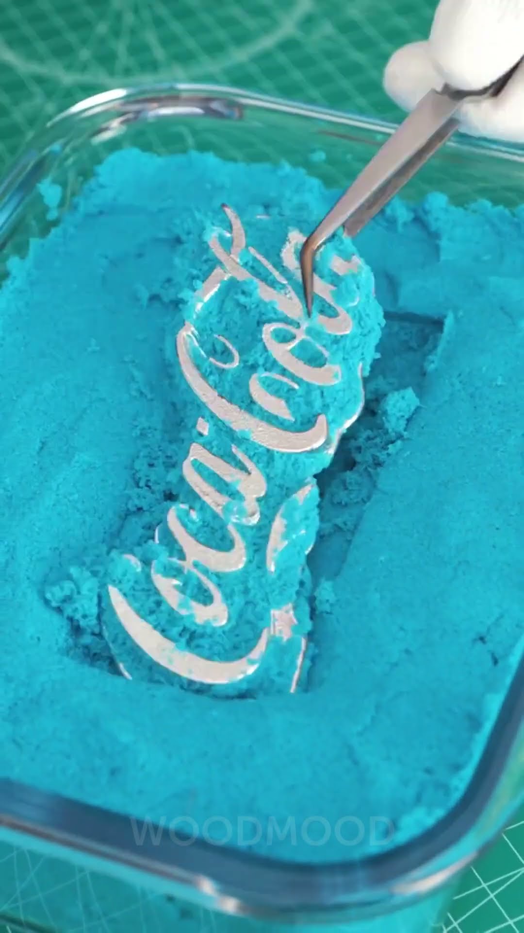 POV: You're an artist, and a used Coca-Cola can is a new fashion statement! ?✨