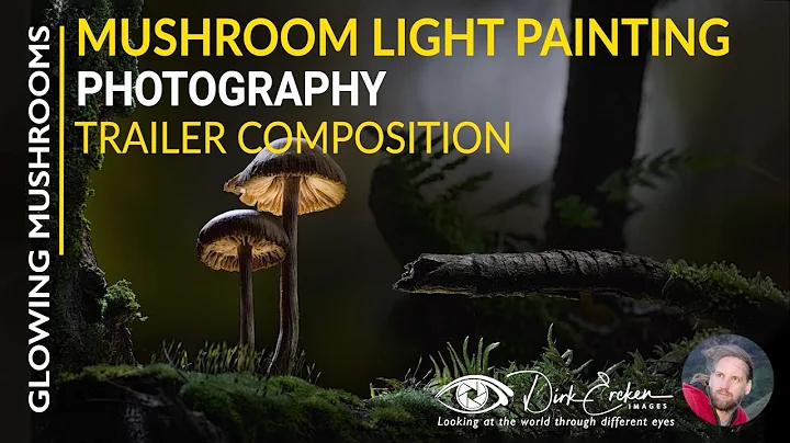 Mushroom Light Painting Photography - trailer composition