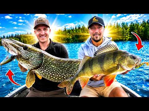 We've NEVER experienced summer fishing like this... Wolfcreek delivers! 🎣