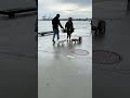 tame animals #shortvideo #dog