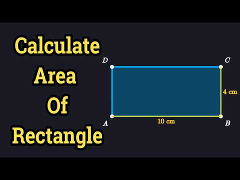 Calculate The Area Of The Rectangle