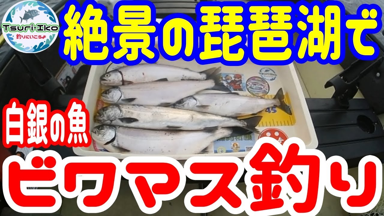 ミニボート 絶景の琵琶湖で ビワマス釣り 22年も ポータボートでビワマストローリング 絶好調 仕掛けなども紹介しています 引き縄釣り Porta Bote Youtube