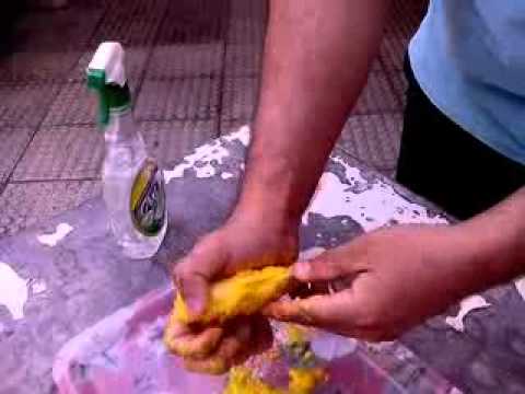 روش کاشت انبه