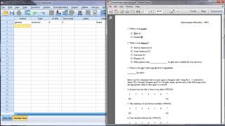 SPSS Questionnaire Survey Data Entry