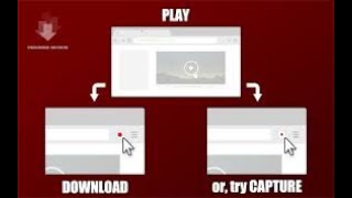 Tải video bất kì trên website về máy tính screenshot 5
