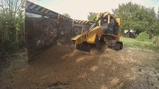 DR STUMP LTD. Stump grinding a Eucalyptus stump with Predator 38rx