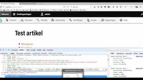 Theme content type drupal 8