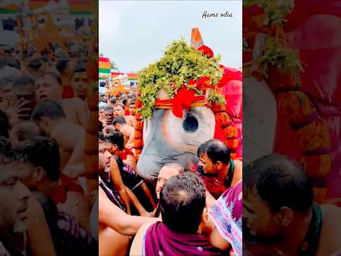Jay Jagannath 🙏🛕❤️#jagannathtemple #jagannath #bhajan #rathyatra #puri #jagannathpuri #youtubeshorts