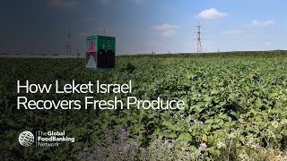 How Leket Israel Recovers Fresh Produce