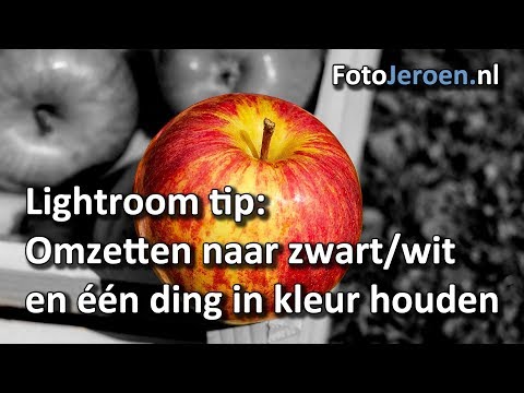 Video: Hoe Maak Je Een Rood-zwart-wit Foto?