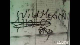 SONIDO TWIST ~ WMZ 138 SBX