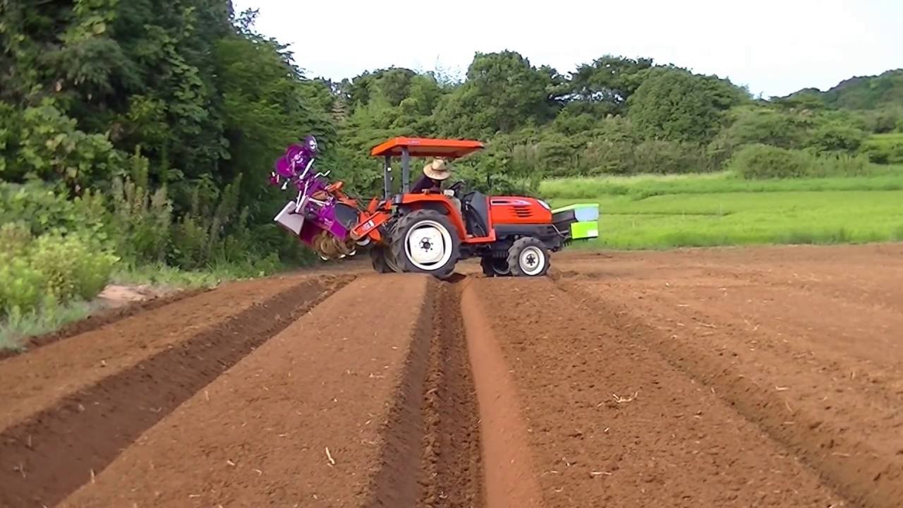 いなどうエコファーム　大根＆にんじん床づくり