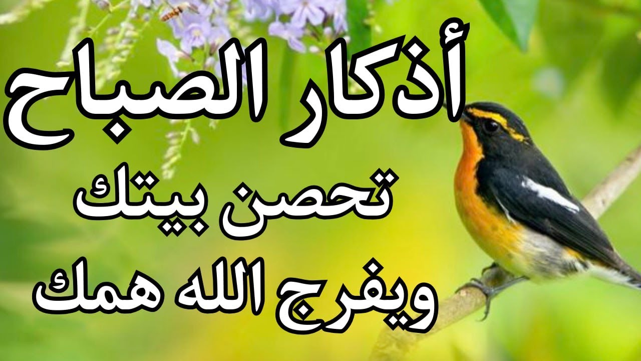 أذكار الصباح - راحة نفسية لا توصف بصوت القارئ علاء عقل | Morning Athkar - Dzkir Pagi