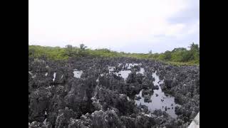 Celebrity Hell Rock Formation on Grand Cayman Island Wealth