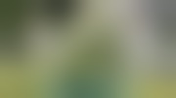 Week 8 in a EZHYDROGROW DWC hydroponic kit running a Mars Hydro TSW2000 led grow light.