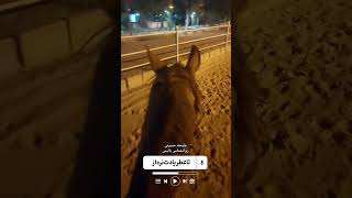 Download Lagu https://www.instagram.com/beauty_inside_outside_psy?igsh=cmViY2owNG45aHlr MP3 Download Lagu https://www.instagram.com/beauty_inside_outside_psy?igsh=cmViY2owNG45aHlr MP3
