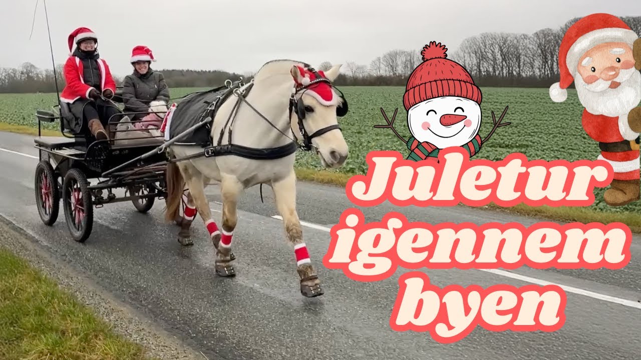 Vi måtte aflyse stævnet.. 