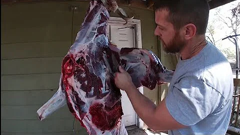 Processing a Deer at Home ... How to skin and quarter a deer