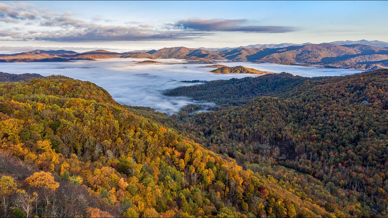 Appalachian Mist YouTube