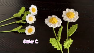3D Crochet Daisy Flower  Tutorial 🌼 Easy Crochet Flower  