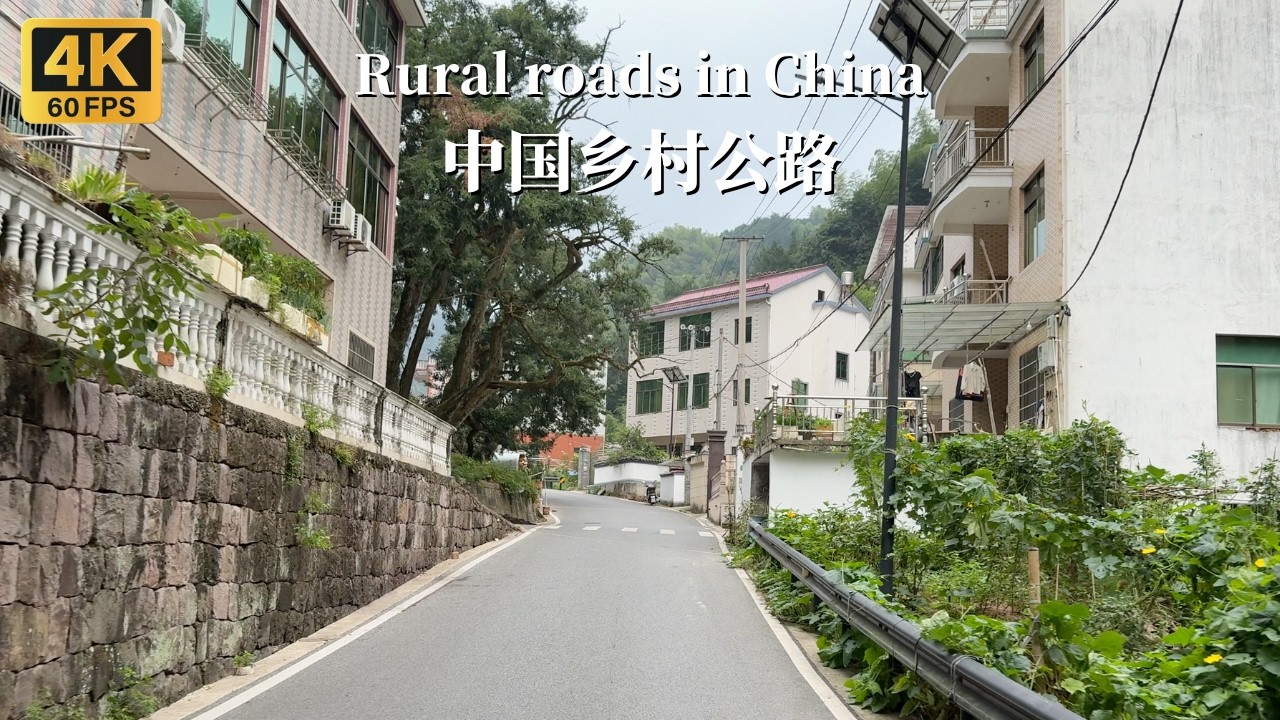 Поездка по сельским дорогам Шаосина, крупнейшего в мире производителя орехов торрейи - 4K