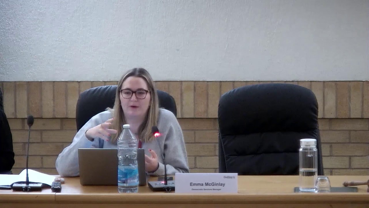 Overview and Scrutiny Committee - 17 November 2025