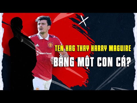 Kết Luận và Khuyến Nghị