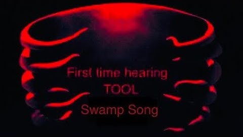 FIRST TIME HEARING TOOL - SWAMP SONG | UK SONG WRITER KEV REACTS #BACKONIT #WHATATRACK #TOOLARMY