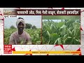 Parbhani Crop Damage : पावसाने पाठ फिरवल्याने खरीप संकटात; पंचनामे करून मदतीची शेतकऱ्यांची मागणी