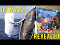 Cutting into our sailboat  collision damage revealed ep87