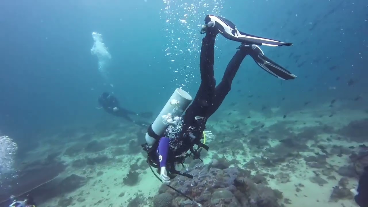 Solana Reef 1-18-2026 