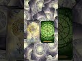 Wheel of Fortune #tarot #majorarcana #wheeloffortune